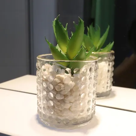 Kuca Jeka Affittacamere Vrnjačka Banja